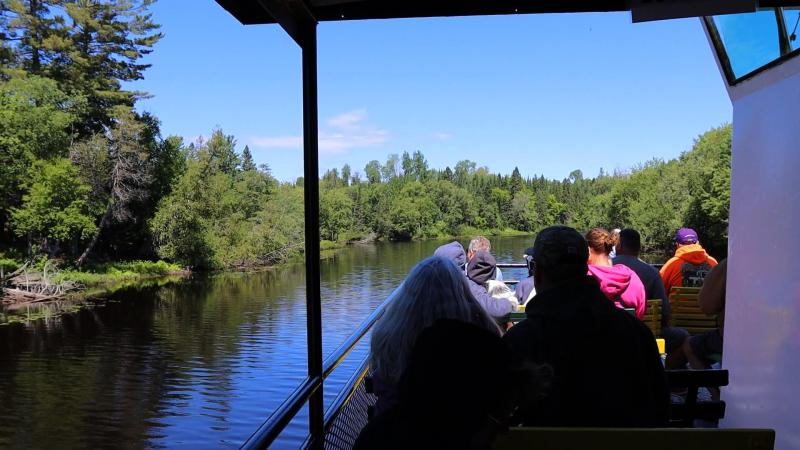 Passengers aboard the Riverboat Tour looking out at trees.