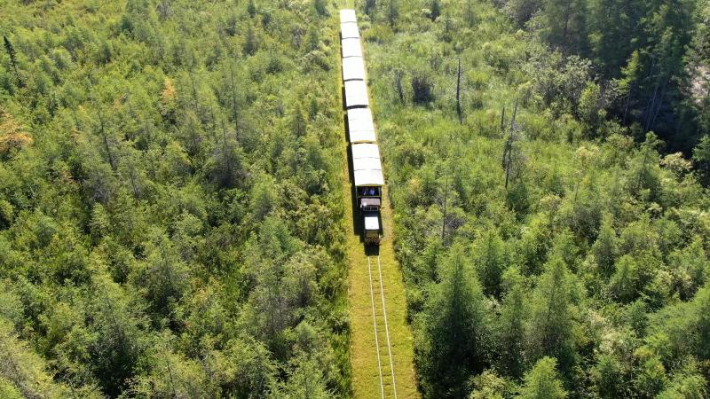 The Toonerville Trolley train passing through the forest.