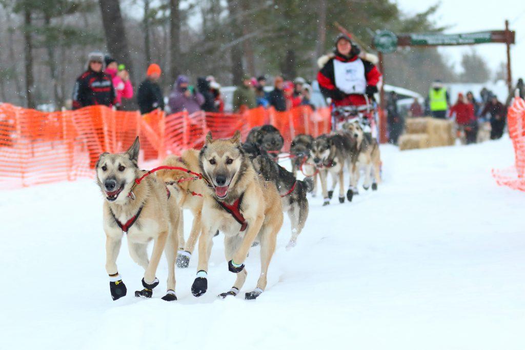 Tahquamenon Country Sled Dog Race