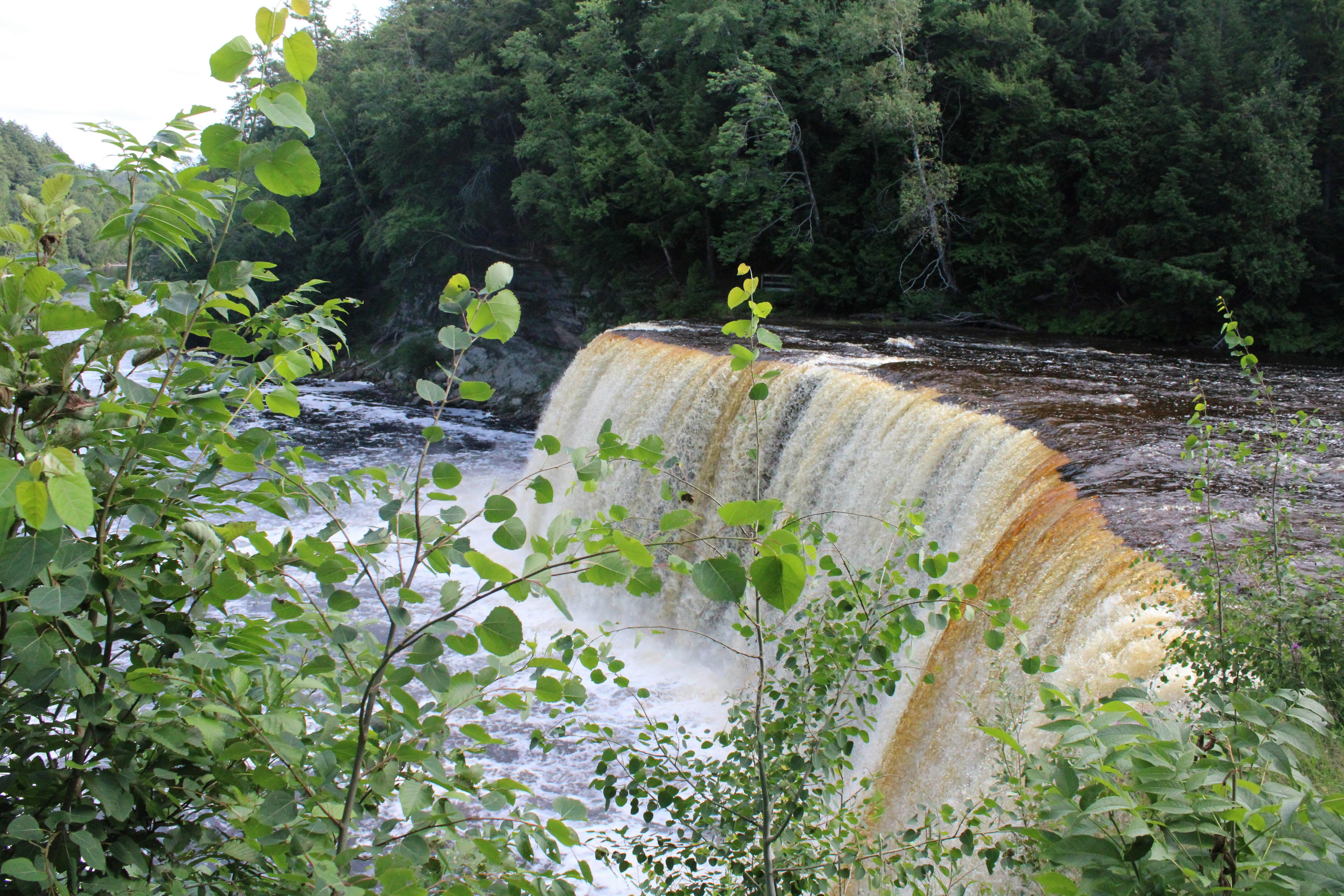 Tahquamenon Falls in summer