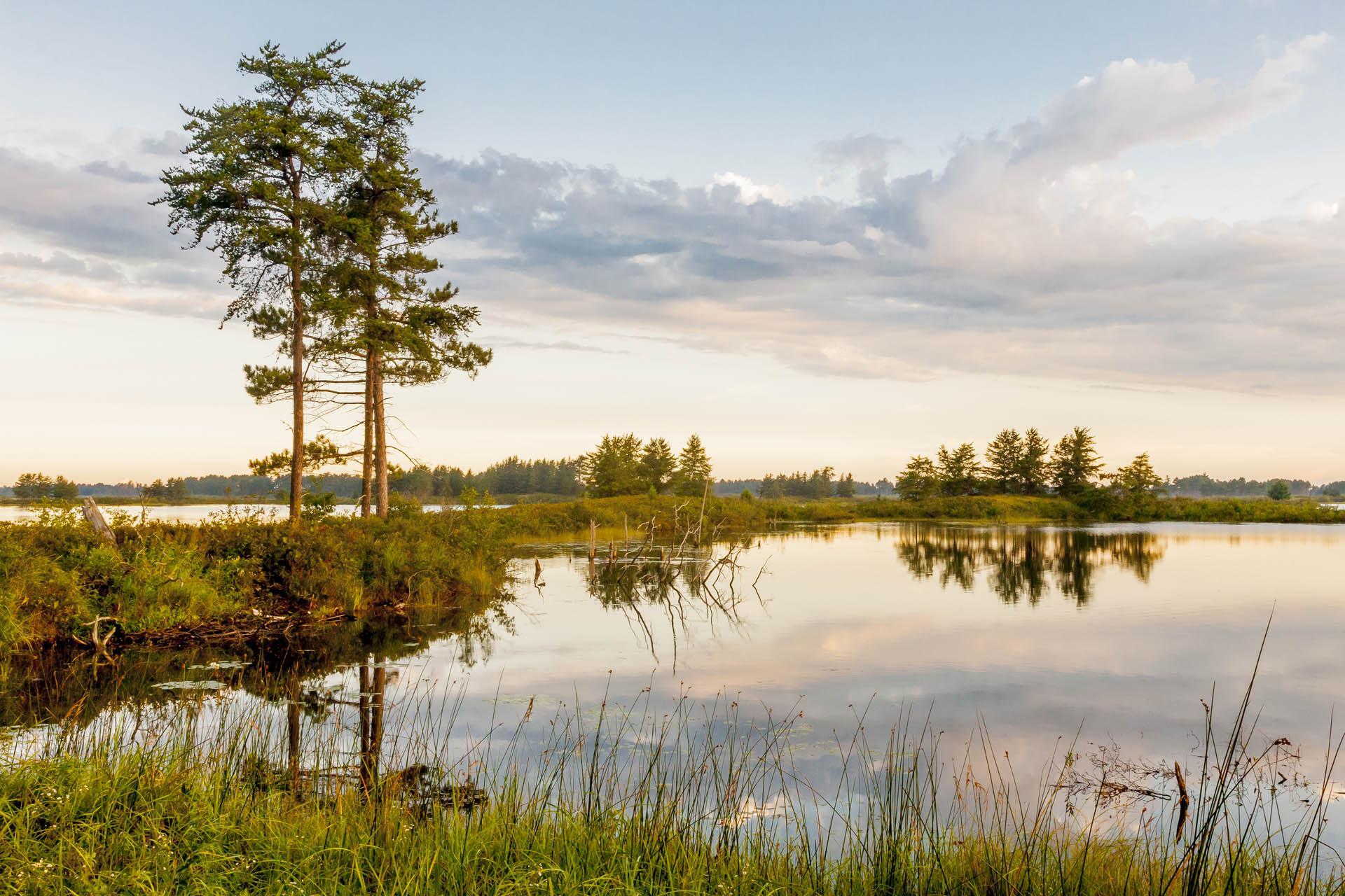 Seney National Wildlife Refuge.