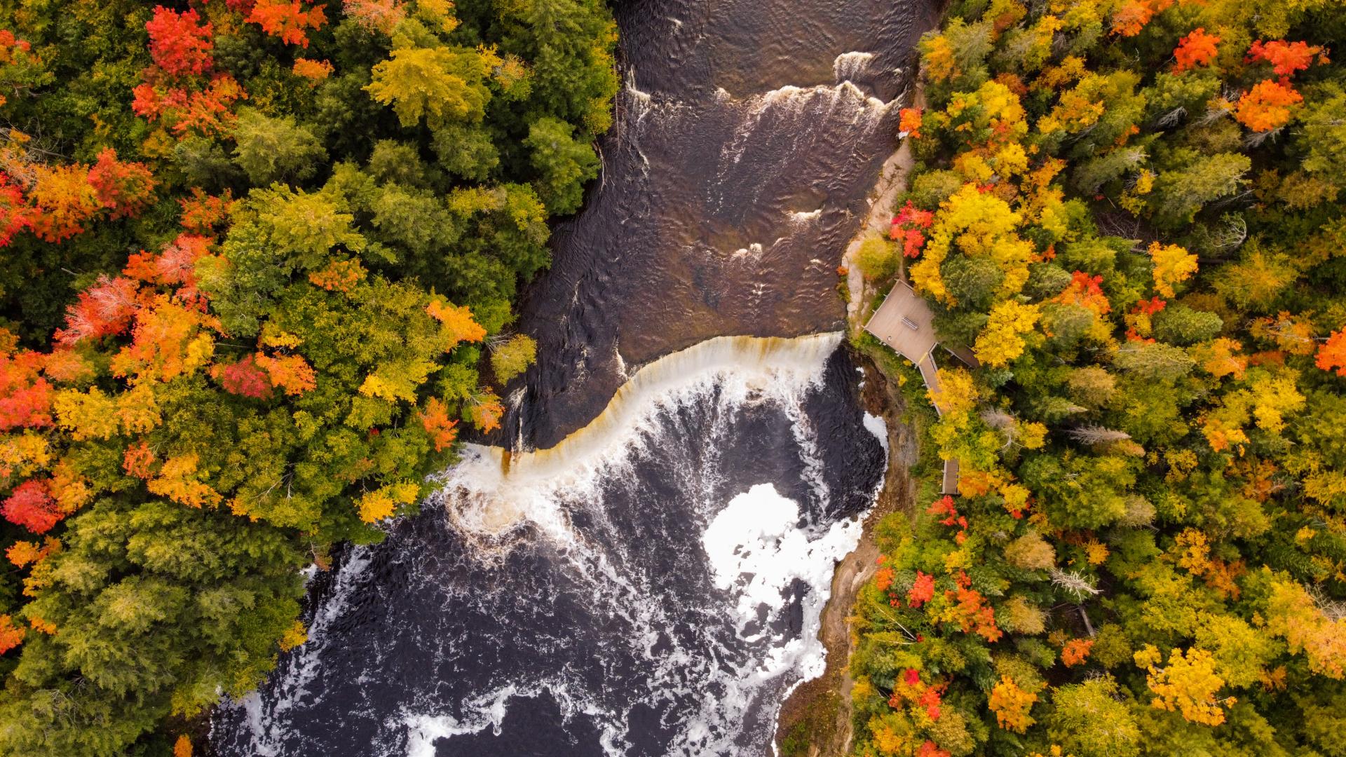 Fall Aerial Drone Image