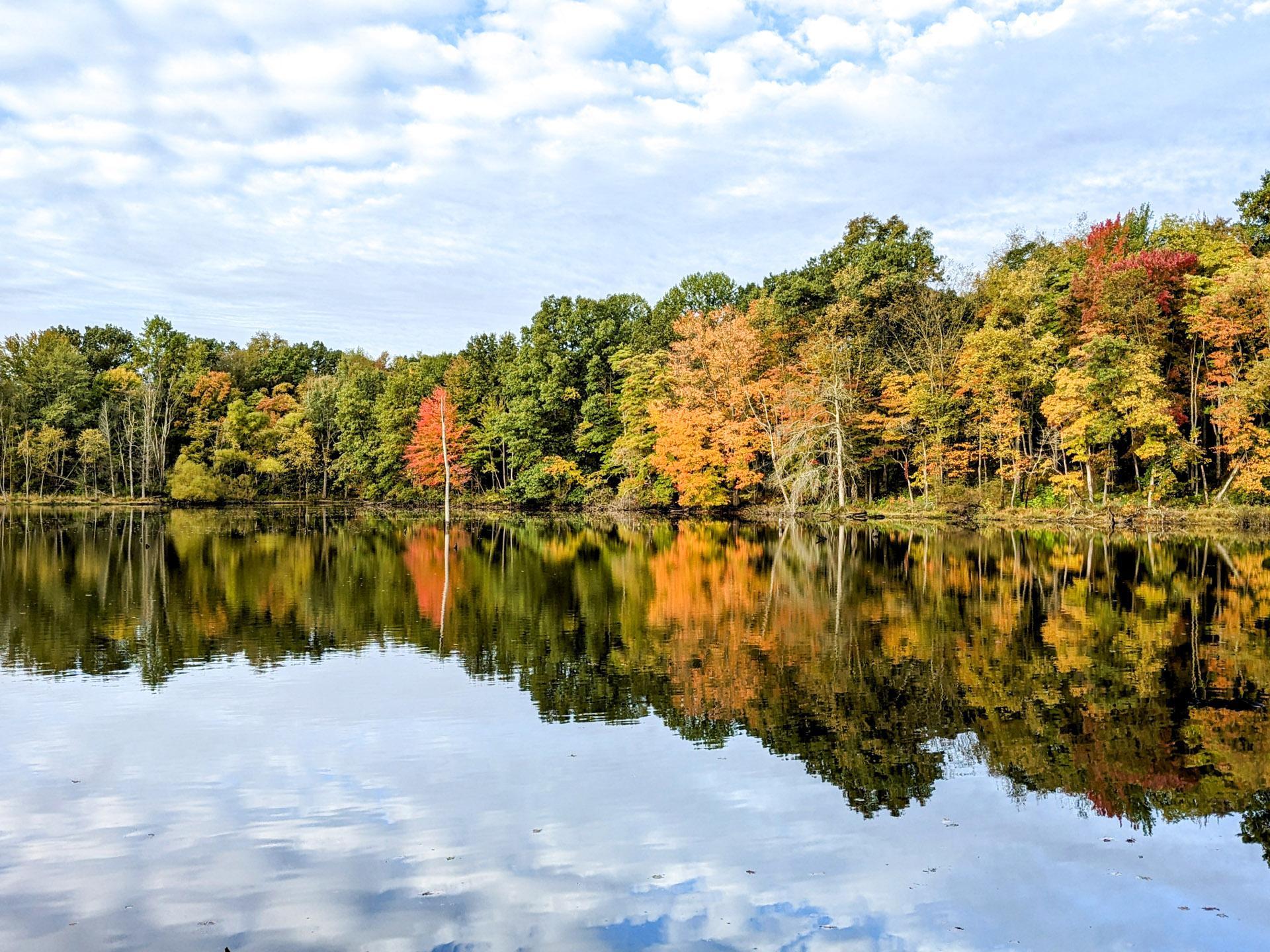 Fall Color