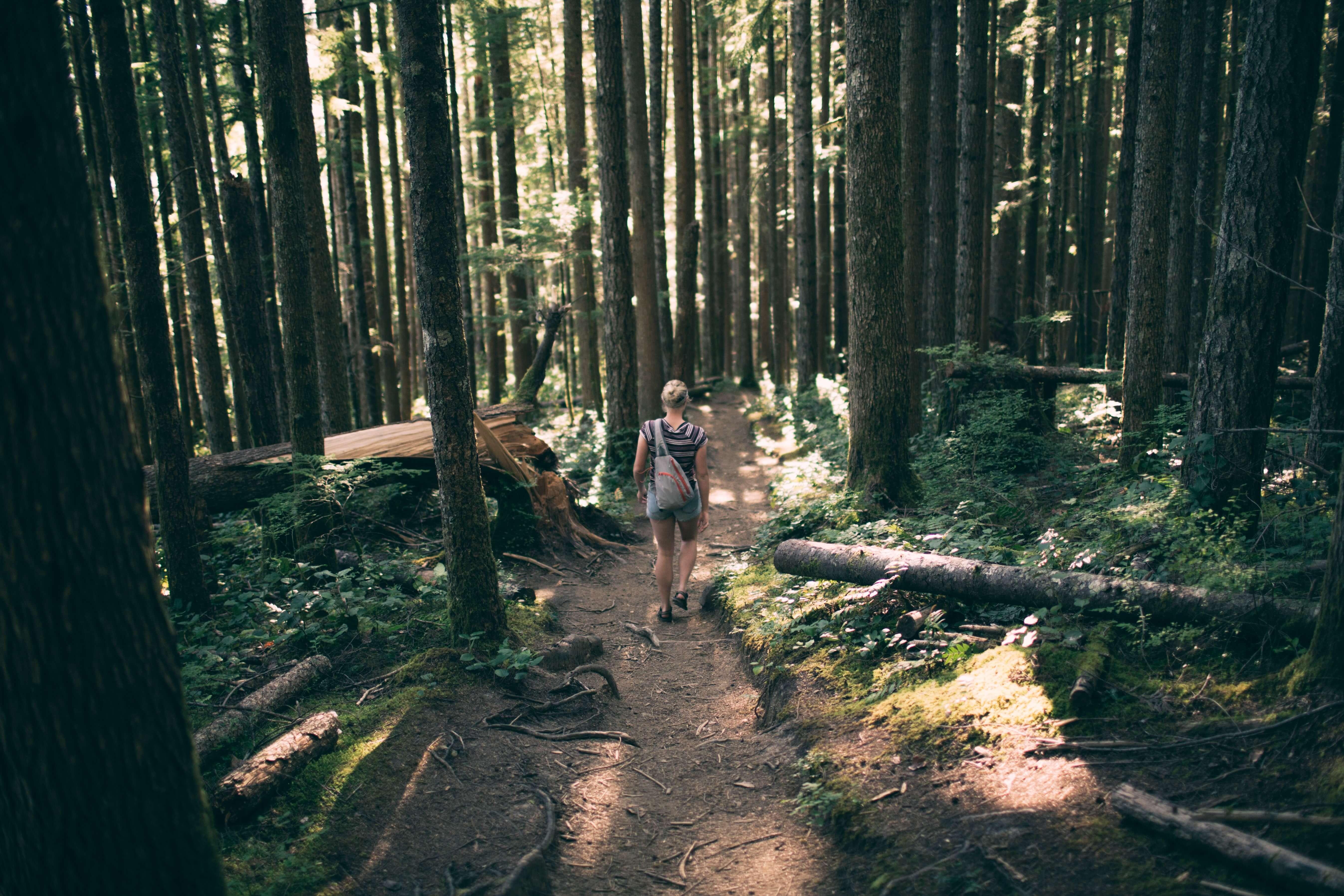 woman hiking in forest