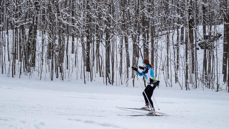 a woman cross country skiing in a snowy forest