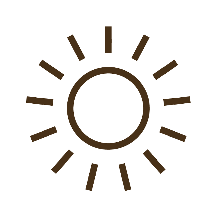 icon of sun