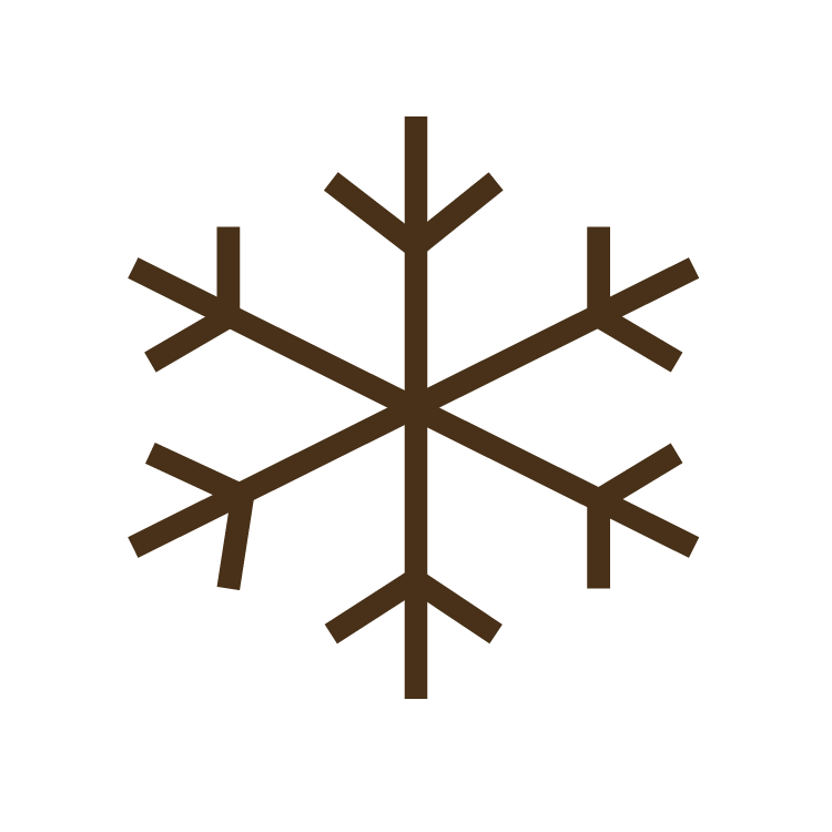 icon of a snowflake