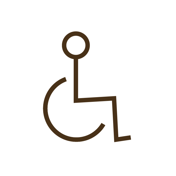 icon of handicapped person