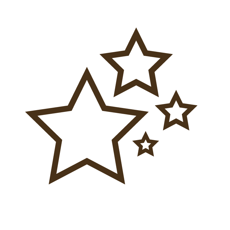 icon of four stars