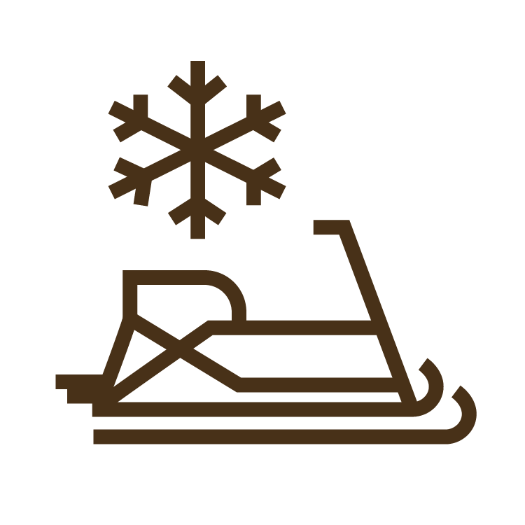 icon of snowmobile and snowflake