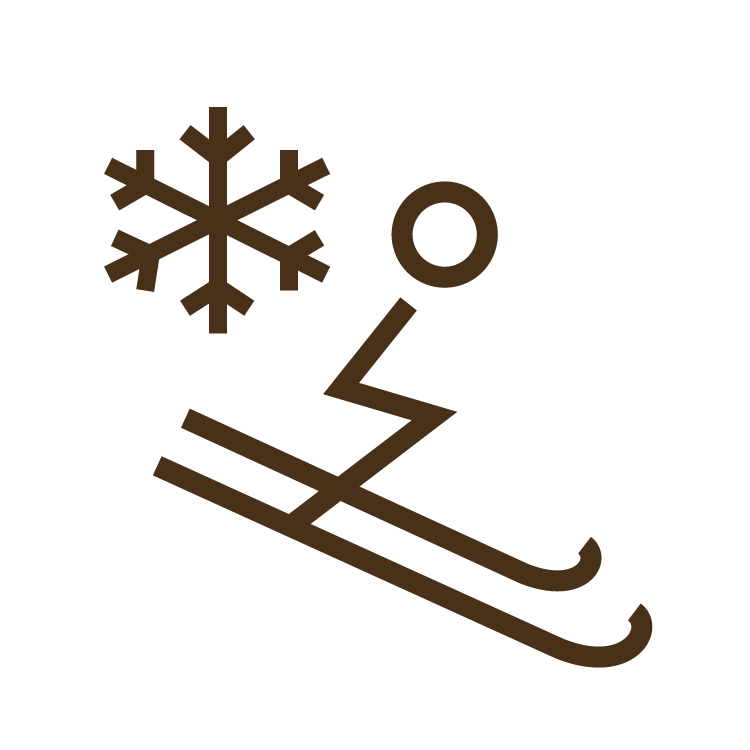 icon of skiier and snowflake